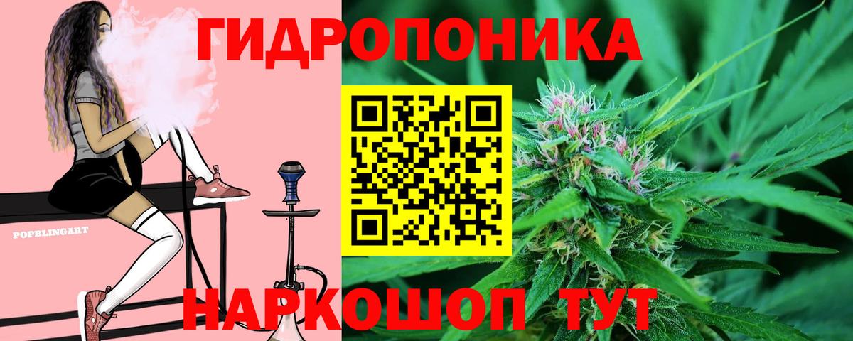 Канабис планчик  Вход с VPN  Марихуана Bruce Banner  Кунгур 